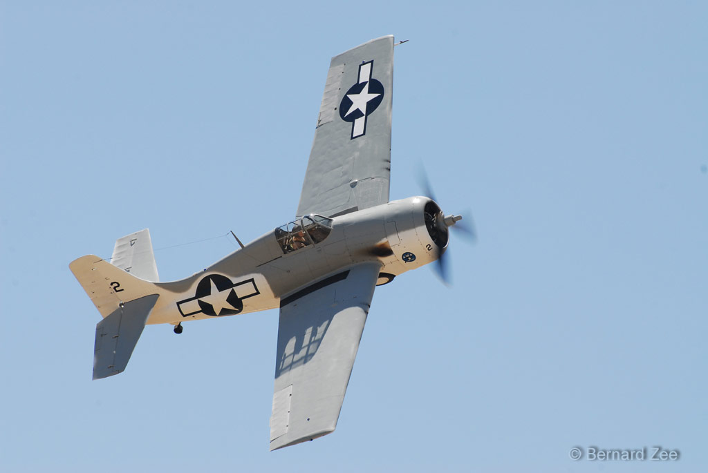 DSZ_6977